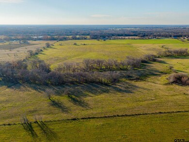 TBD County Road 3525, Dike, TX 75437 - photo 6