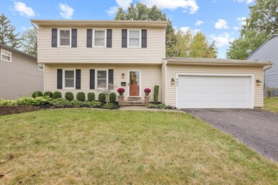 62-web-or-mls-0D3A1418