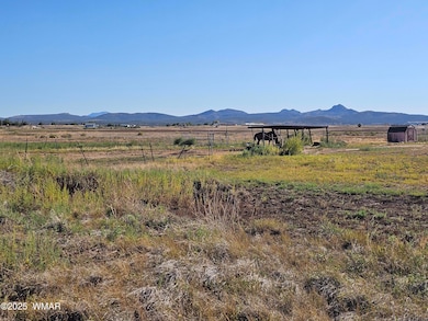 25550 N Big Springs Ranch Rd, Paulden, AZ 86334 - photo 4