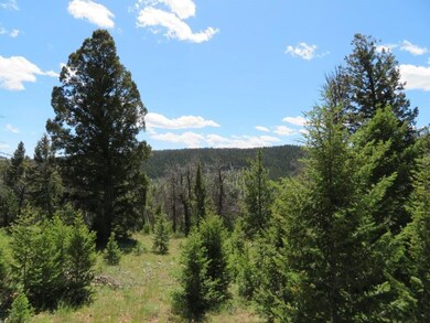 Mtn Maid A Quartz Hill Rd, Wise River, MT 59762 - photo 5