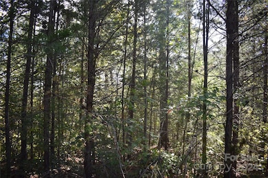 0 Holland Dr unit 3 CAR4192282, Columbus, NC 28722 - photo 6