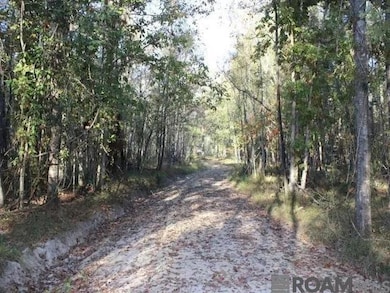 28545 Coker Vail Rd N, Holden, LA 70744 - photo 7