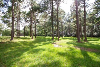 898 Omega Eldorado Rd, Omega, GA 31775 - photo 2