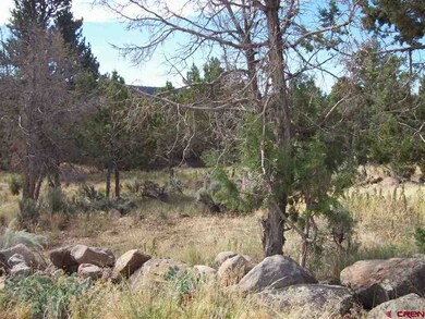 0 NE Ginters Grove Ln unit 684871, Cedaredge, CO 81413 - photo 4