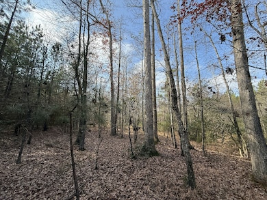 35895 Nc Hwy 561, Hollister, NC 27844 - photo 7