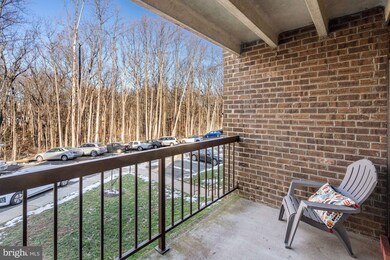 Chestnut Grove Condominiums unit 155, Reston, VA 20190 - photo 7