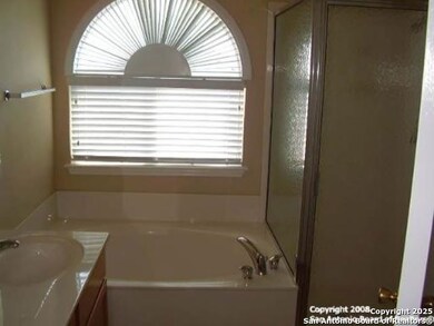 10602 Tiger Horse Cove, San Antonio, TX 78254 - photo 5
