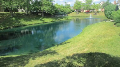 VIEW FROM PORCH & FRONT WINDOW