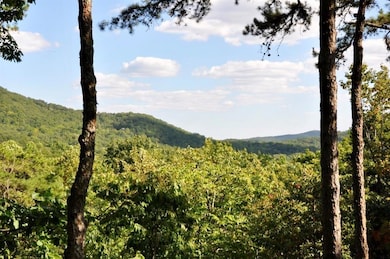 Mountain view featuring a heavily wooded area