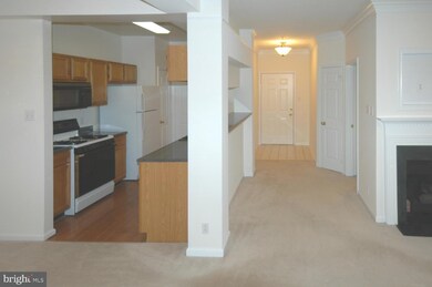 46582 Drysdale Terrace unit 200, Sterling, VA 20165 - photo 2