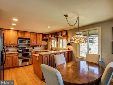 17352 Raven Rocks Rd, Bluemont, VA 20135 - photo 7