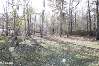 1069 Halton Ct, Brandon, MS 39047 - photo 5