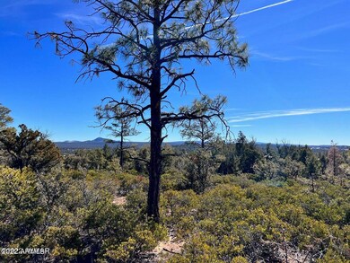 1985 S Twin Peak Trail unit 392, Show Low, AZ 85901 - photo 6