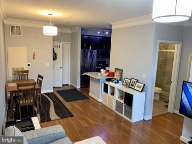 The Fitz at Rockville Town Center, Rockville, MD 20850 - photo 3