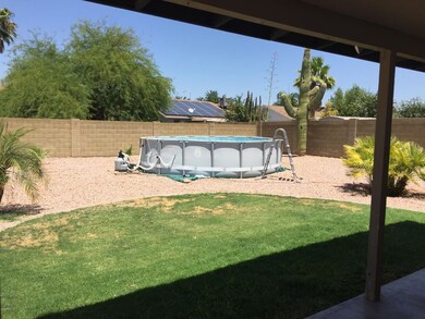 back yard