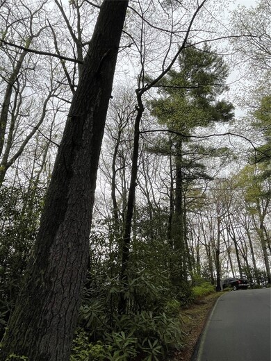 Lot 11 Cherokee Trace, Lake Toxaway, NC 28747 - photo 4