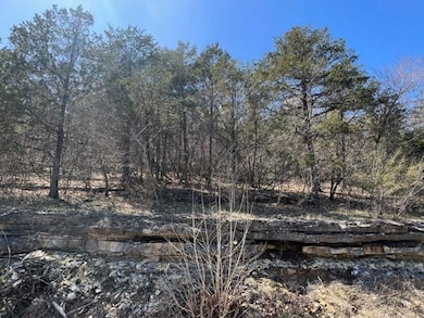 194 Table Rock Dr, Holiday Island, AR 72631 - photo 5