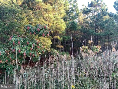 0 Wesley Church unit MDDO2000162, Toddville, MD 21672 - photo 6