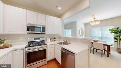 11337 Westbrook Mill Ln unit 201, Fairfax, VA 22030 - photo 7