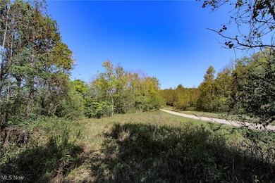 Lot 3 Moss Run Rd, Marietta, OH 45750 - photo 3