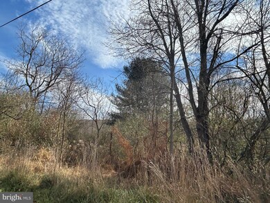 0 W Market St unit PADA2039736, Williamstown, PA 17098 - photo 2