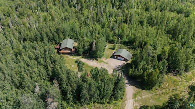 Aerial overview of property's location with a heavily wooded area