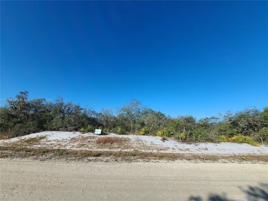 224 Lakeland Dr, Lake Placid, FL 33852 - photo 2