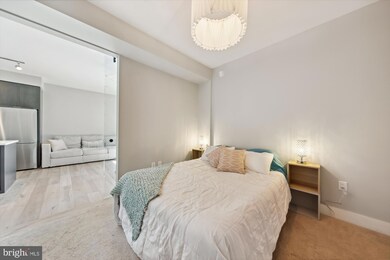 The Bower unit 406, Washington, DC 20003 - photo 7