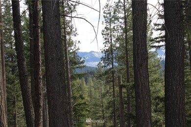 unlisted-address, Cle Elum, WA 98922 - photo 2