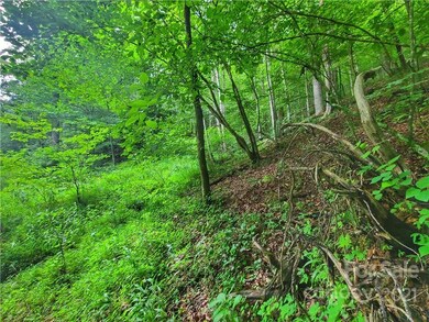 9999 Bent Creek Rd, Ramseytown, NC 28714 - photo 6