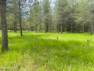 NNA Red Fir Rd, Athol, ID 83801 - photo 4