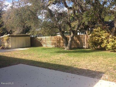 large back yard