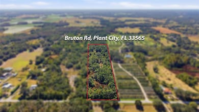 0 Bruton Rd unit MFRA4673522, Plant City, FL 33565 - photo 5