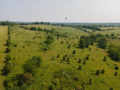 720 Oregon Rd, Versailles, KY 40383 - photo 3