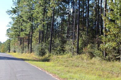 3.9 Basin-Central Rd, Lucedale, MS 39452 - photo 6