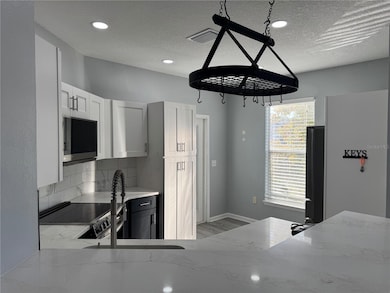 10444 Villa View Cir, Tampa, FL 33647 - photo 7