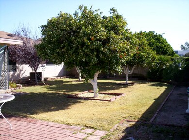 Back yard facing east