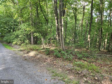 0 Dogwood Ln unit WVMO2002192, Berkeley Springs, WV 25411 - photo 5