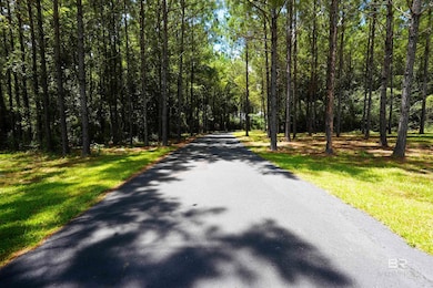 8410 Highway 97, Mc David, FL 32568 - photo 2