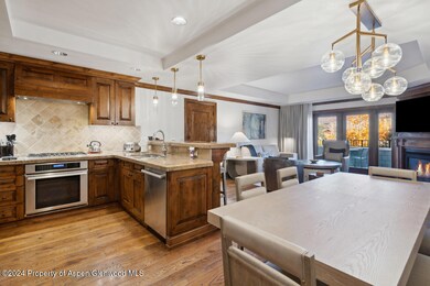 415 E Dean St Unit 16 Week 33, Aspen, CO 81611 - photo 5