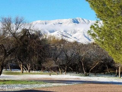 Winter Mountain Views