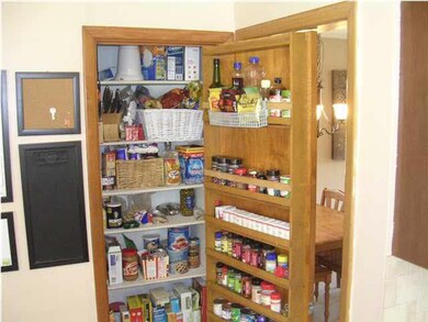 Great Pantry in Kitchen
