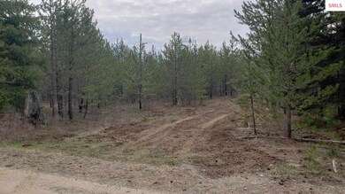 NKA Honeysuckle Rd, Athol, ID 83801 - photo 5