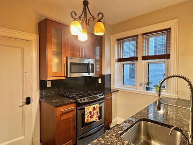 6 Lanark Rd unit 4, Brookline, MA 02445 - photo 6