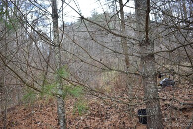 0000 Bradford Rd, Burnsville, NC 28714 - photo 6