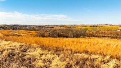 TBD Quincy St, Saint Charles, IA 50240 - photo 6