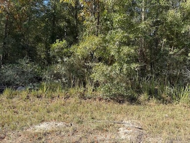 0 NE 108th Ave, Bronson, FL 32621 - photo 3