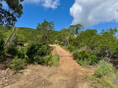 0 John Buchanan Rd unit 24226662, Leakey, TX 78873 - photo 4