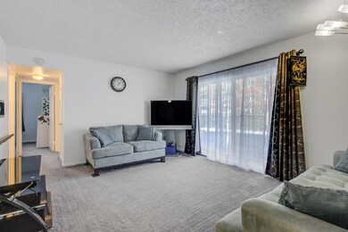 3305 Kirchoff Rd unit 1B, Rolling Meadows, IL 60008 - photo 4