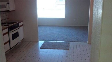 723 W Idaho Ave, Homedale, ID 83628 - photo 4